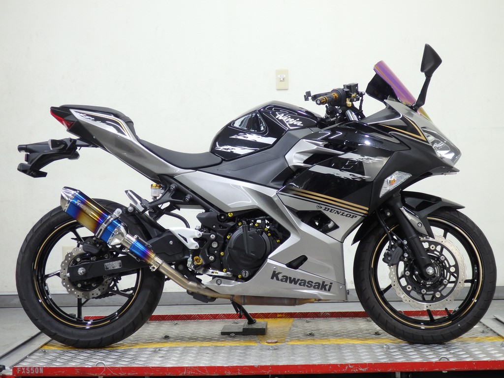 Ninja 250 | カワサキ（KAWASAKI） | リバースオート