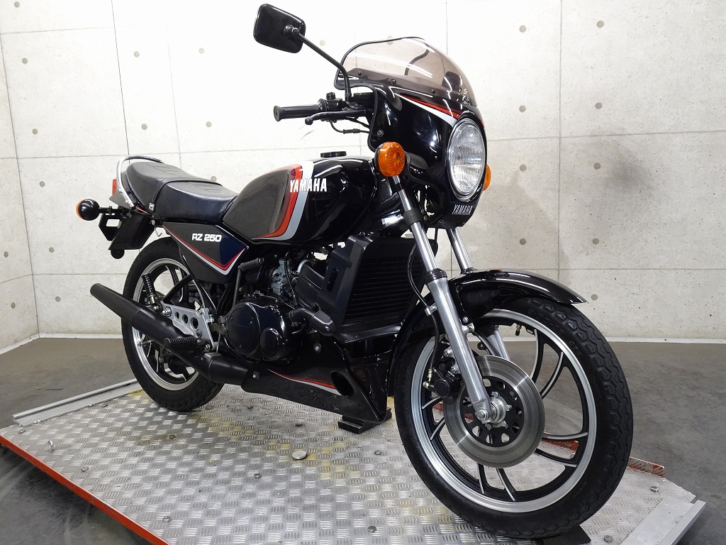 RZ250 純正OP アンダーカウル土日発送のみになります - パーツ